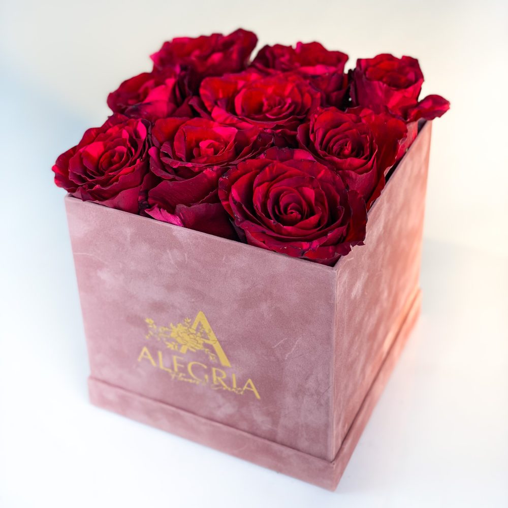 Cutie Alegria cu 9 trandafirii rosii Valentine s Day pe patrat 1 scaled