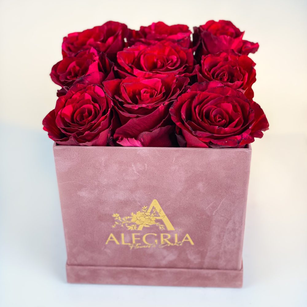 Cutie Alegria cu 9 trandafirii rosii Valentine s Day pe patrat 2 scaled