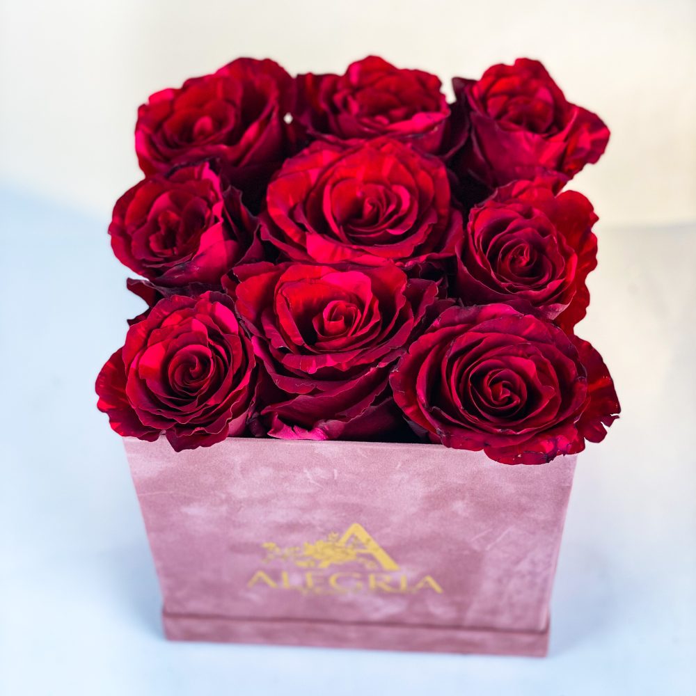 Cutie Alegria cu 9 trandafirii rosii Valentine s Day pe patrat 3 scaled
