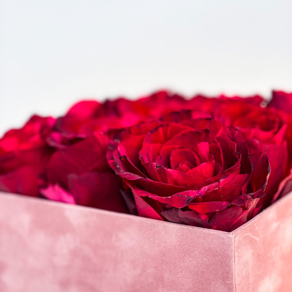 Cutie Alegria cu 9 trandafirii rosii Valentine s Day pe patrat 4 scaled