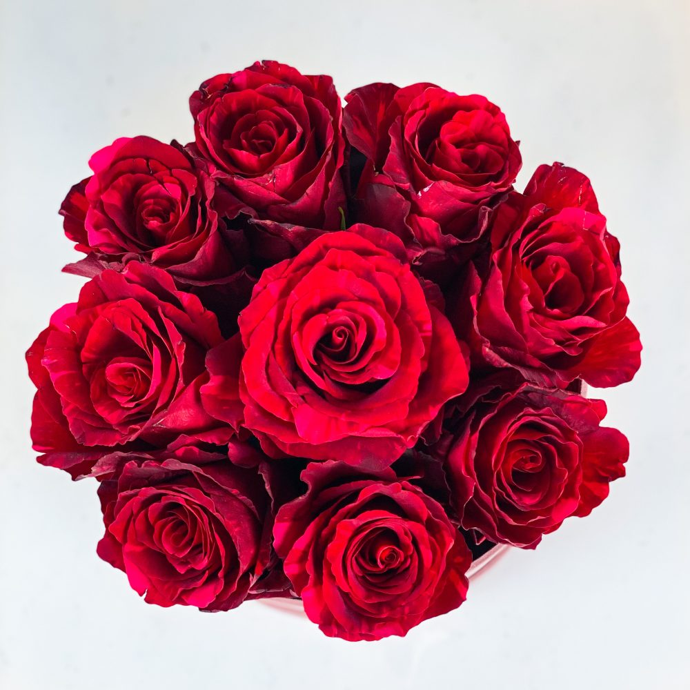 Cutie Alegria cu 9 trandafirii rosii Valentine s Day pe rotund 2 scaled