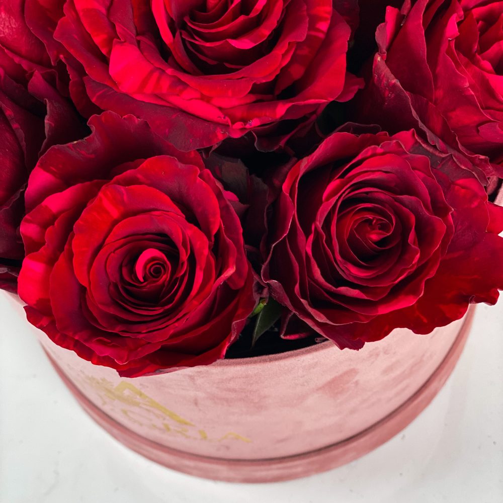 Cutie Alegria cu 9 trandafirii rosii Valentine s Day pe rotund 3 scaled