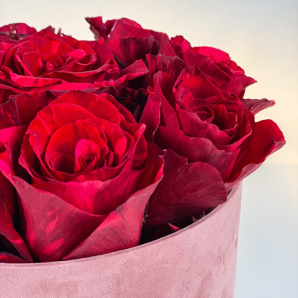 Cutie Alegria cu 9 trandafirii rosii Valentine s Day pe rotund 4 scaled